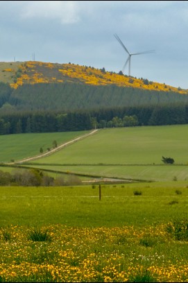 Green field and hills with yellow flowers showing a natural environment and an onshore wind turbine in the background