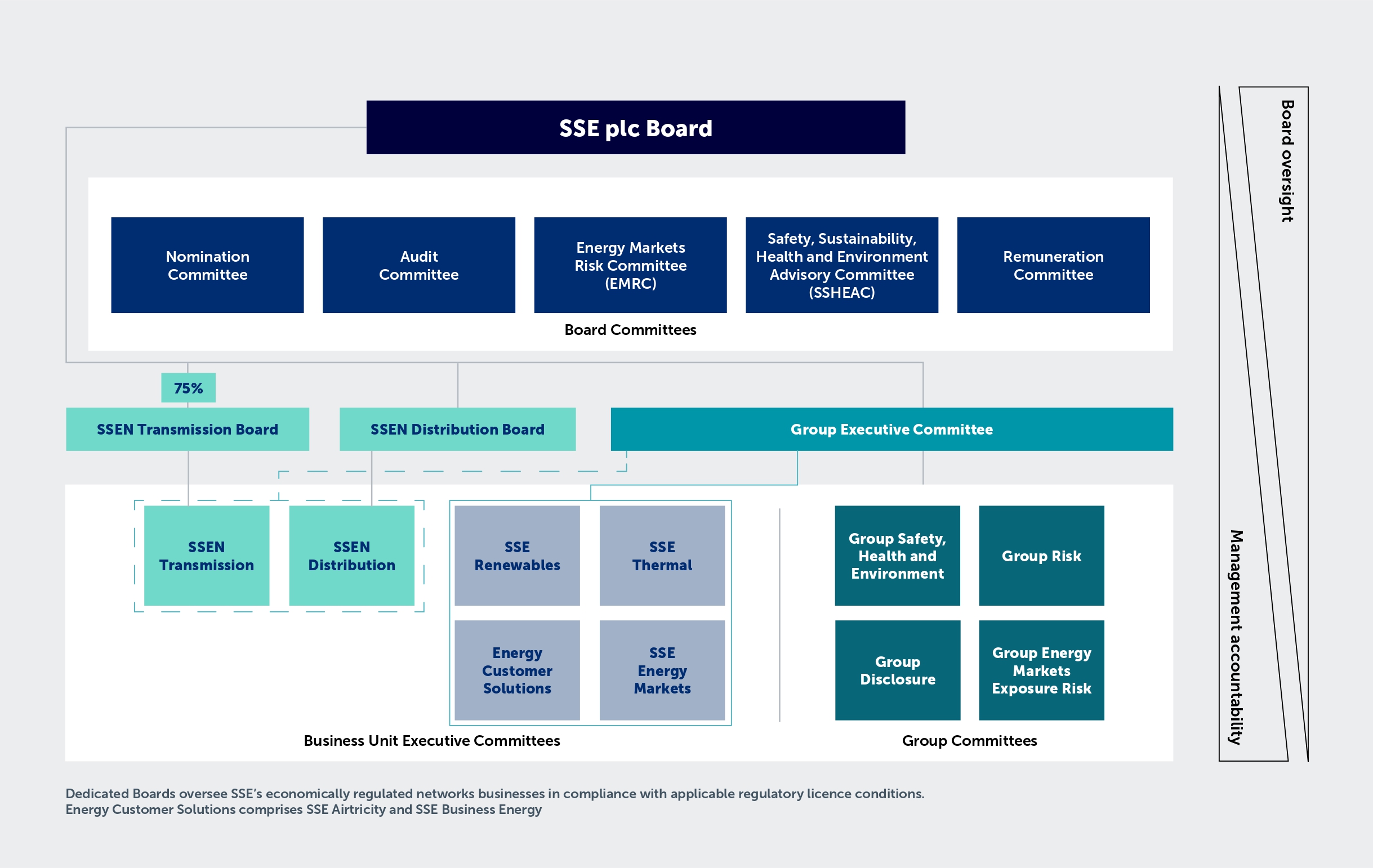 Governance Framework Diagram 2025