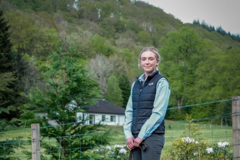 7 5 Sse Reinforce 790